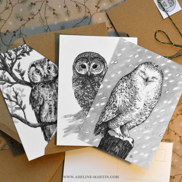 LOT de 3 CARTES - CHOUETTES
