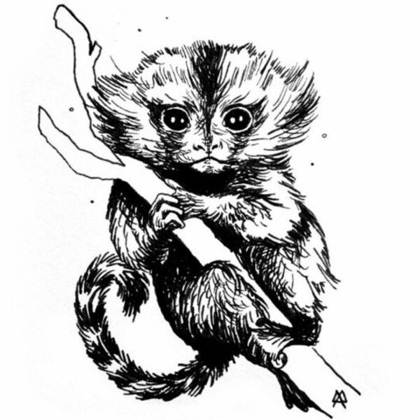 DESSIN ORIGINAL À L’ENCRE Inktober Ouistiti